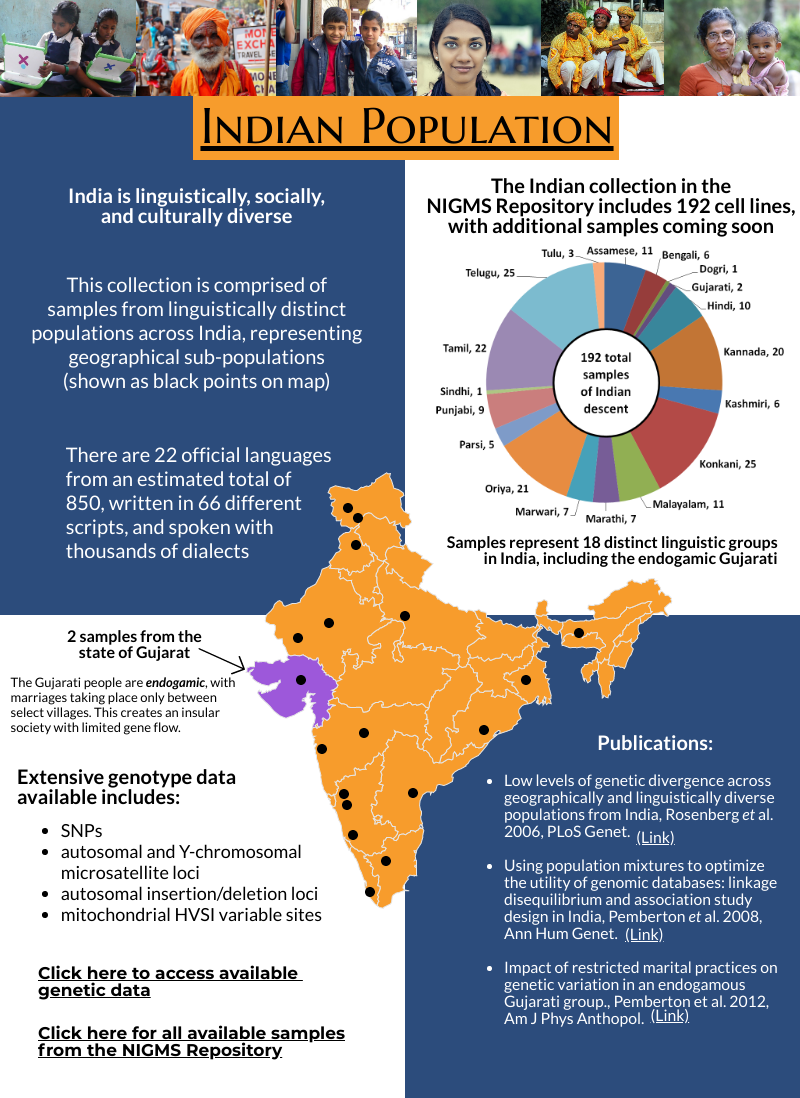 essay on population control in india